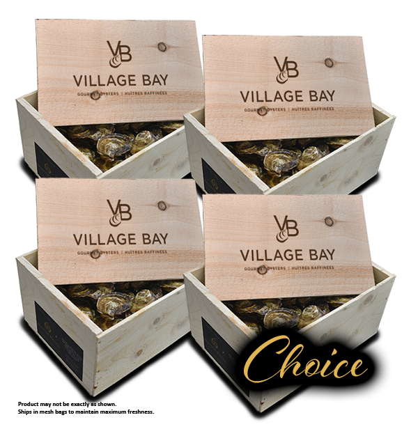 Huîtres - Choice - 400 unités
