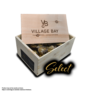 Oysters - Select - 100 pack