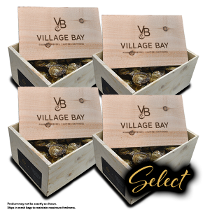 Oysters - Select - 400 pack
