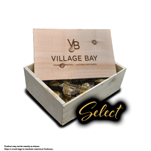 Oysters - Select - 50 pack