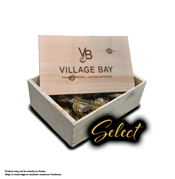 Oysters - Select - 24 pack